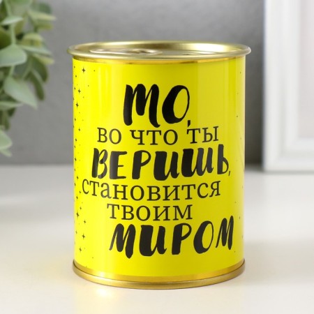 Pigger Bank Metal "Believe in yourself and you will succeed"-2