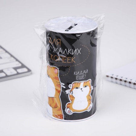Копилка «Для твоих копеек», 12 х 6,5 см-7