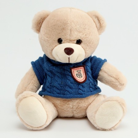 Soft toy "Bear" in a sweater, 25 cm, color mix-6