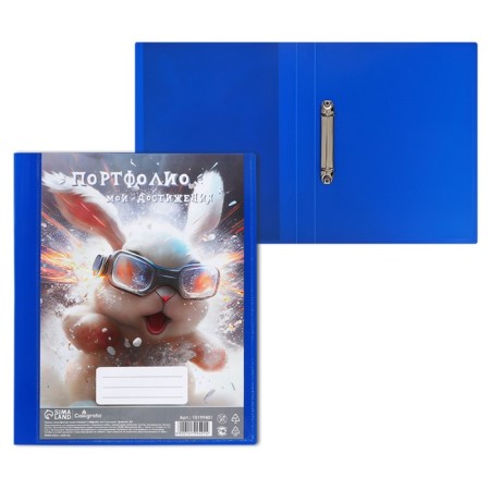A4 Portfolio folder, calligrata "racer", plastic, on 2 rings, for a preschooler, without liners