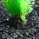 Artificial aquarium plant, 3 x 9 cm, orange-green