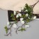 Artificial flowers "Rose mini carnival" 70x4 cm, white