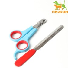Carrying for claws: scissors-codlons (hole 6 mm) and a saw, blue-red