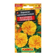 Coreopsis seeds Terry Sun MN Ts/p 0.1 g