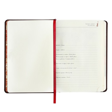Leduced A5 Diary, 136 Velvet Index sheets, hard cover, artificial leather, lamination Soft Touch, lies, tinted block 70 g/m2, brown-3