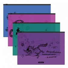 The convert folder on the A4 Zip-Molniya, 160 μm, Erichkrause Zen Cats, glossy, translucent, with print, mix