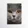 Cover for passport "Cat" (1 pc)