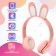 Gamberry set "Bunny": microphone, headphones with ears