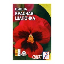 Flowers of Viola 