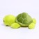 Soft toy "Turtle"