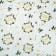 Paper Glossy “Wences in gold!”, 1 sheet, 70 x 100 cm