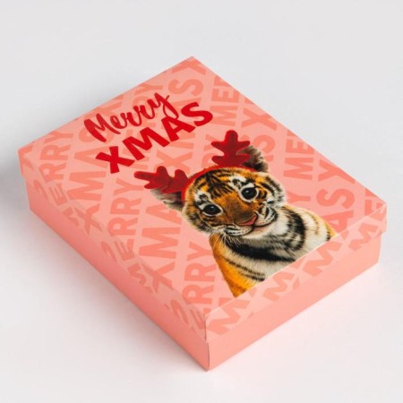 New Year's gift set "Merry XMAS" socks 18-20 cm and accessories-8