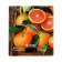 Kitchen Libra Delta KCE-70, electronic, up to 5 kg, drawing "Juicy oranges"