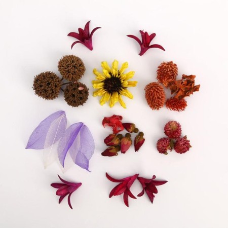 A set of natural decor "Flower membrane"
