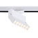 LED LED track ambrella track system GL6811, 6W, LED, white color
