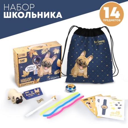 Gift set of the student "Best Friend", 14 subjects