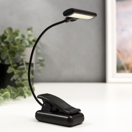 Lamp for reading on clothespin16430/1 LED from batteries 3AA Black 7x4.5x31 cm Risalux