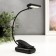 Lamp for reading on clothespin16430/1 LED from batteries 3AA Black 7x4.5x31 cm Risalux
