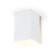 Lumber Ceiling invoice with a change of lamp Ambrella Light, Techno, TN5111, E27, white color