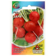 Seeds Radis 