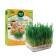 Animal grass Triol, 120 g