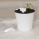 Garden signs for marking, 7 cm, set 20 pcs., Plastic, white, Greengo