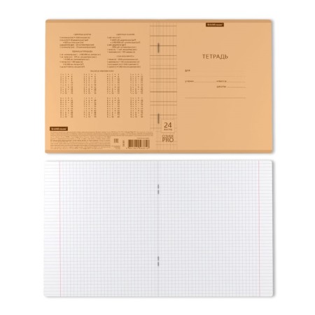 Notebook 24 sheets in the Erichkrause Coverpro NEON Classica, plastic cover, OFSET BOLK, 100%whiteness, Orange-7
