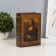 Safe Book "Mona Lisa" to the leatherette to 22x16x7 cm