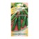 Seeds Cucumber "Power of F1, medium -late, bee -legged, 10 pcs.