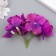 Flowers for decorating "hydrangea" purple 10x10 cm