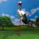 Garden figure "Crane" 16x40x25cm