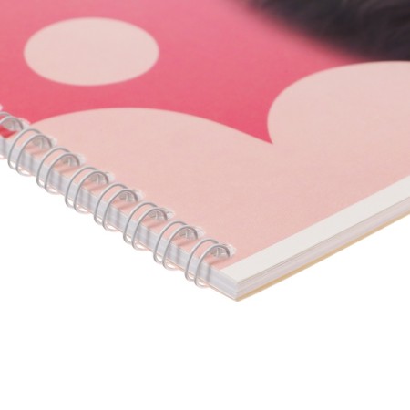 Album for drawing A4, 24 sheets on the crest of "fluffs", cardboard cover, offset block 100 g/m2, mix-6