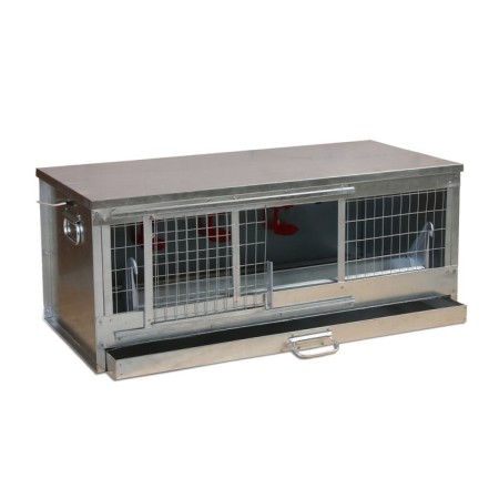 Bruder for chickens, 100 × 40 × 45 cm, with a pallet, a feeder and a drinker, metal-1