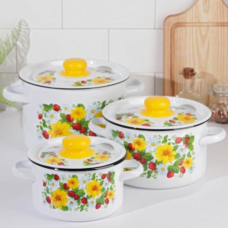 Set of pots "strawberries", 3 subjects: 1.5 l, 2.9 l, 4.5 l, enameled covers, induction