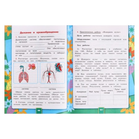 Educational and methodological kit The world around the world, grade 3, workbook, part 1, Sokolova-6