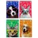 Notepad A6, 40 sheets in a cage on the rowing "Pets-2", cover covering cardboard, mix