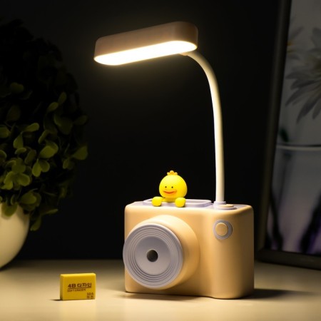 Table lamp "camera" LED 2W USB AKB MIX 10x6.5x23 cm Risalux-3