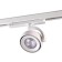 TRUKOL LOW PORT 3-F, 20W LED, 4000K, 2200LM, white color
