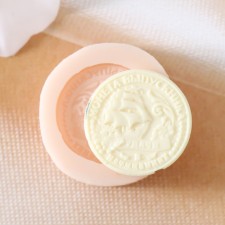 Mold Silicon Coin 