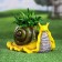 Figure Kashpo "Snail" 15x15x27cm