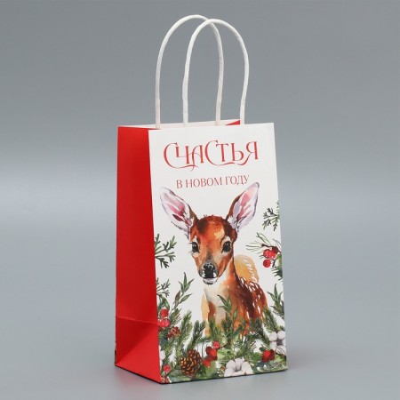 Package gift craft "Happiness", 12 x 21 x 9 cm, new year-1