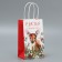 Package gift craft "Happiness", 12 x 21 x 9 cm, new year