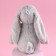 Soft toy "The most beautiful", gray bunny