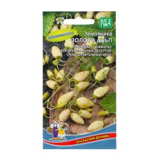 Strawberry seeds 