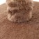 Complex for cats with a claw, corner, 55 x 55 x 130.5 cm, fur, jute, brown