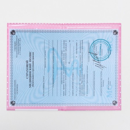 Folder for the medical policy "Bear" for a girl, 17.5 x 11.3 cm-2
