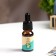 Aroma -Maslay "Jasmine", convenient dispenser, 10 ml, wealth of aroma