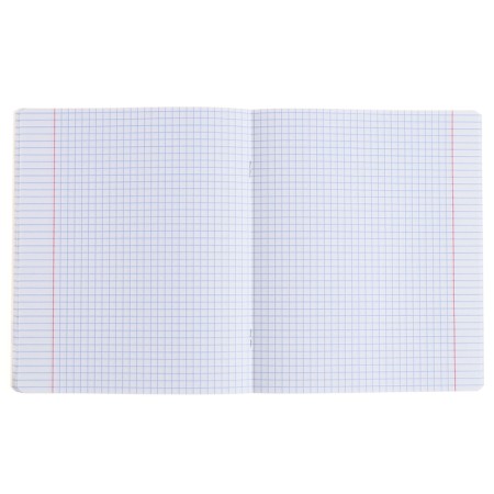 Subject notebook, 48 sheets, cage, geography, erichkrause "BENFORMED", plastic cover silk-screen cover, OFSET BELICT 100%, information block-4