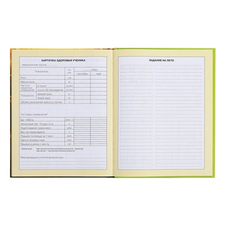 Diary for grades 1-4, hard cover "duckling", matte lamination, selective varnish, block 60 g/m2-12