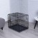 Dogs for dogs No. 2 with a pallet, folding, 62 x 48 x 53 cm